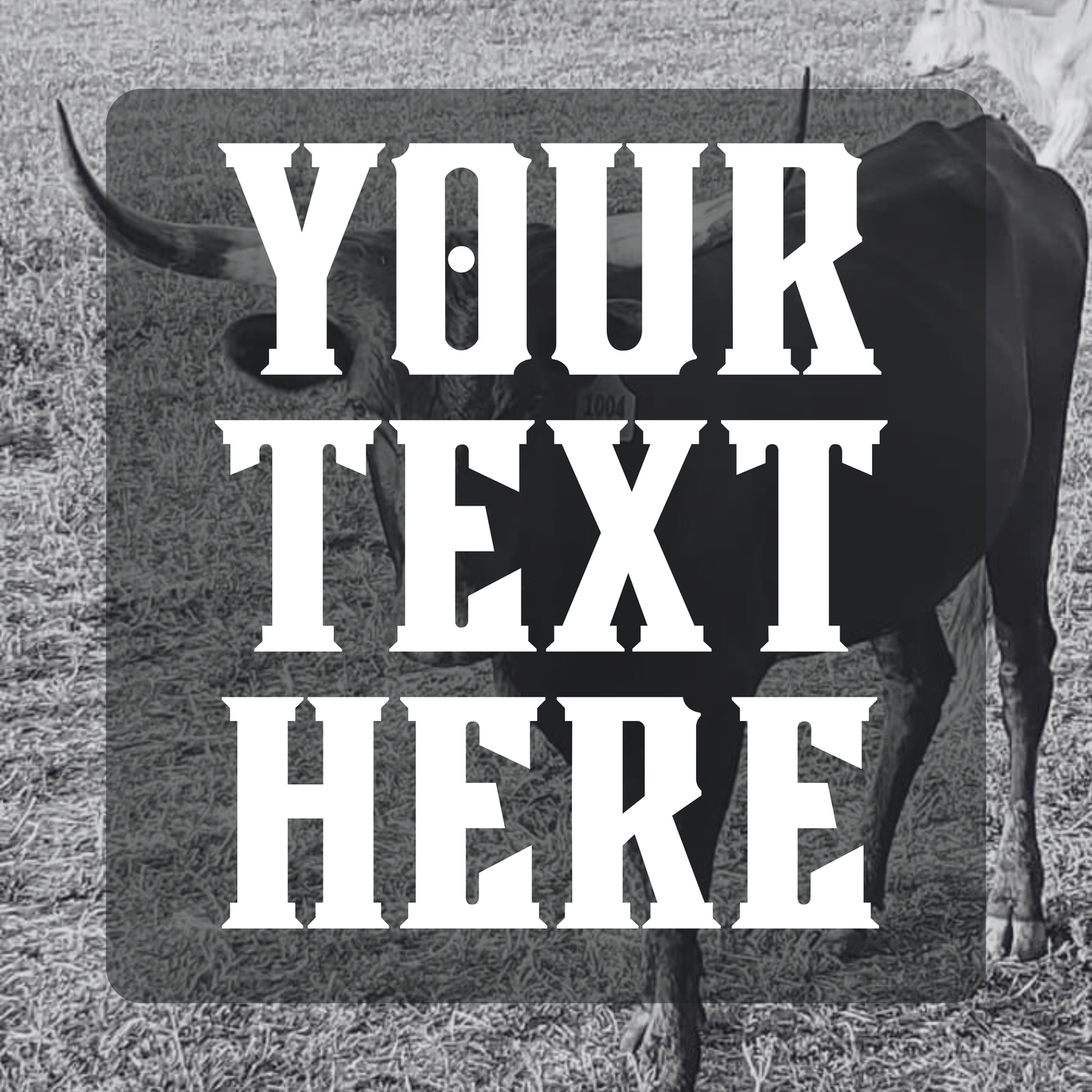 Western Social Media Engagement Photo