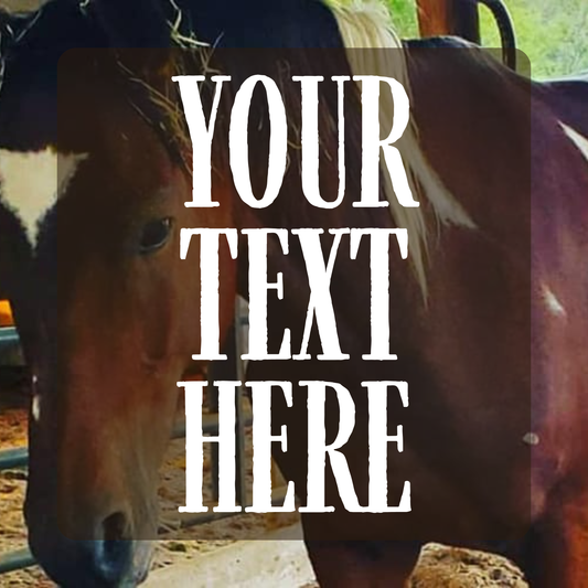 Western Social Media Engagement Photo