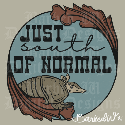 South of Normal